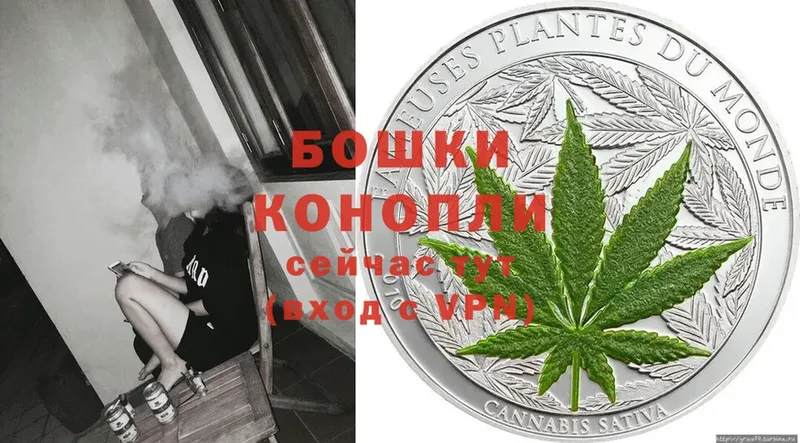 где найти   Каргат  Каннабис SATIVA & INDICA 